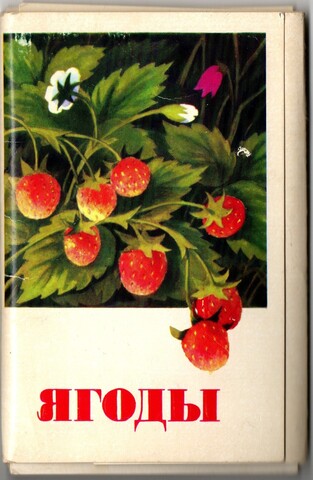 Полный набор 16 открыток "Ягоды" СССР. 1973 год
