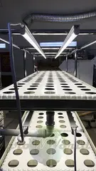 Многоярусный гидропонный стеллаж 3 яруса B1750хД2100хШ600мм до 300 растений