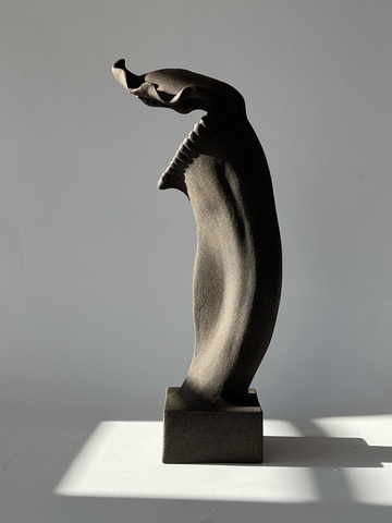 из серии Симбиоты