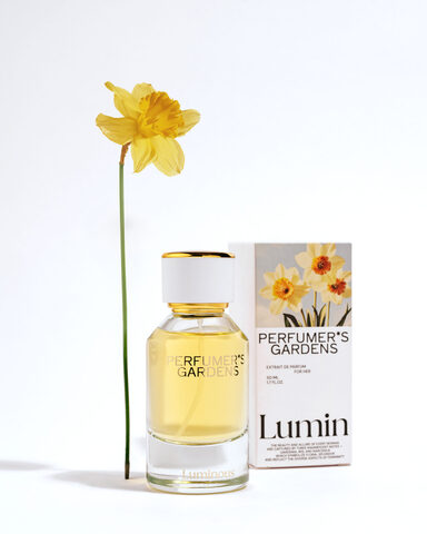 Dilis PERFUMERS GARDENS Духи д/жен LUMINOUS (792) 50мл