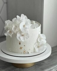 Вафельные Круги для Декора Торта Оптом 2400 шт, d=3.8 см (тонкая вафельная бумага)