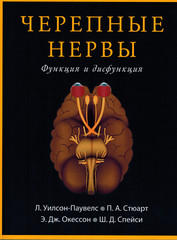 Черепные нервы. Функция и дисфункция