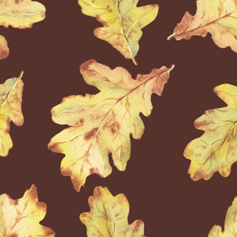 Осенние акварельные листья дуба