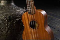 FLIGHT NUS310 - Укулеле сопрано