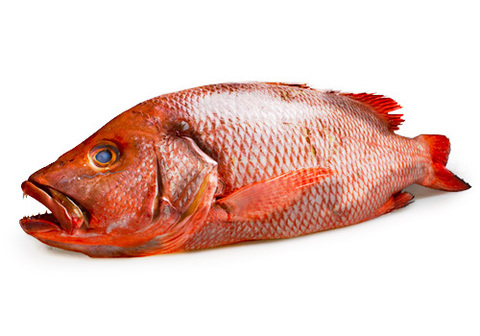 Луциан большеглазый замороженный~2кг