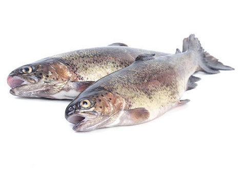Форель Черноморская замороженная~1кг