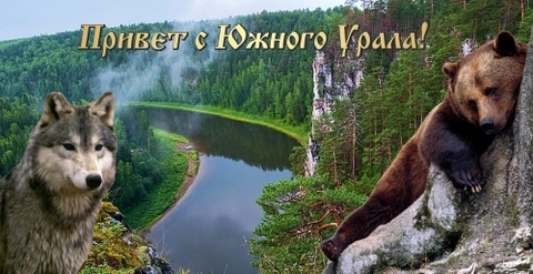 Урал Сувенир - Кружка Южный Урал №0012 Волк с медведем
