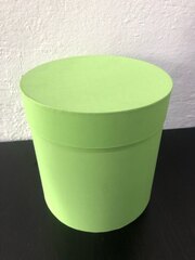 Цилиндр одиночный, Салатовый, 15*15 см, 1 шт.