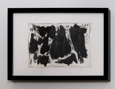 Одуванчики и ночь