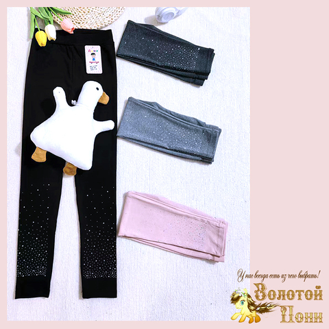 Лосины хлопок д (5-8) 260416-D-А610