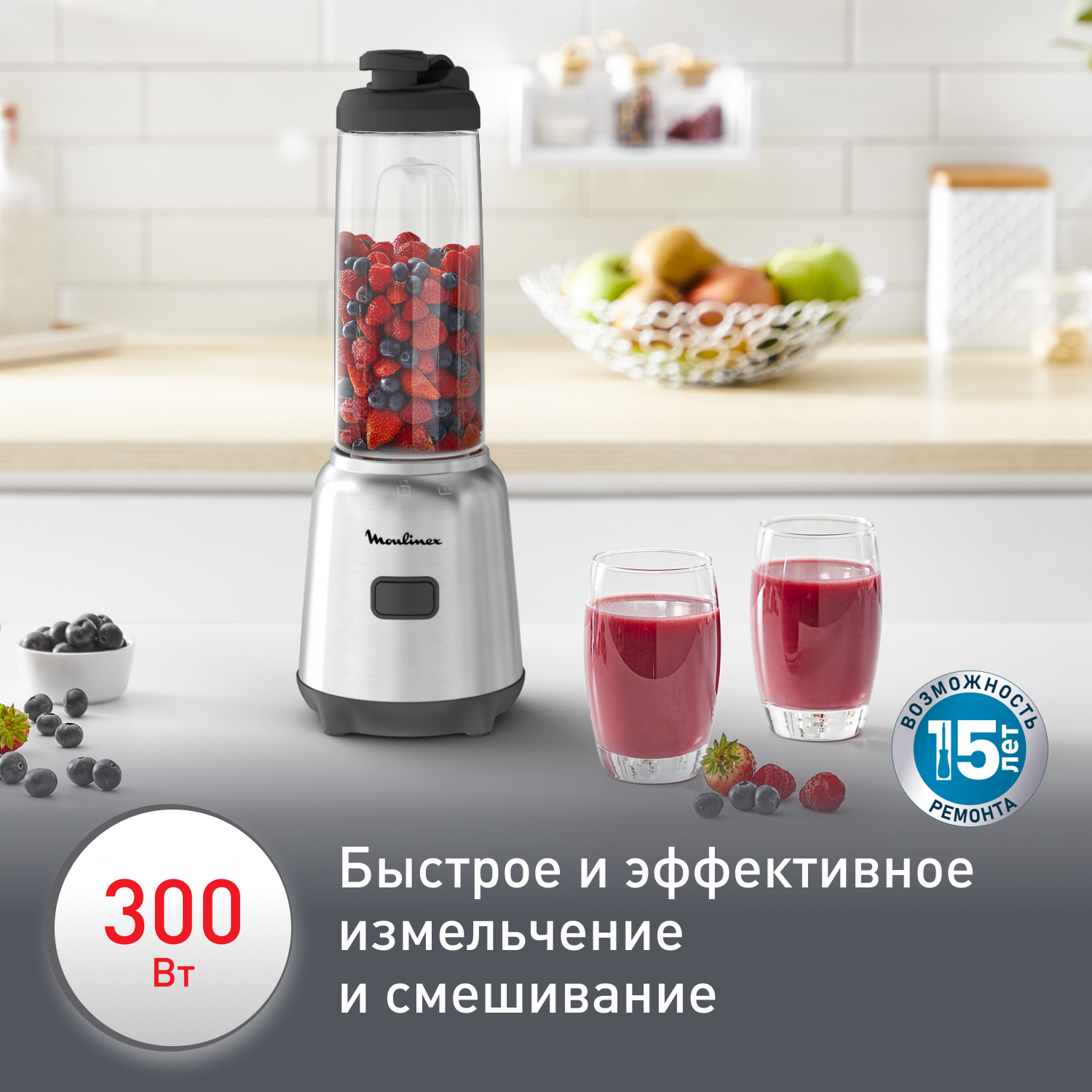 Мини блендер Moulinex Mix & Move LM15FD10