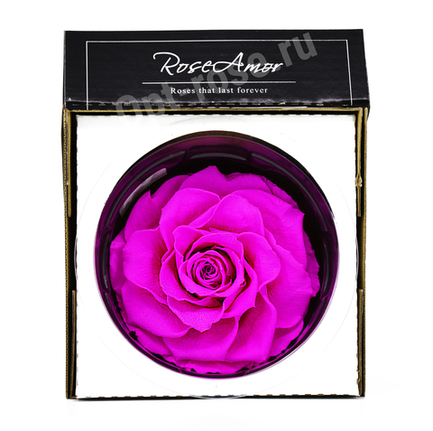 Стабилизированный бутон розы кинг Rose Amor  ярко-розовый