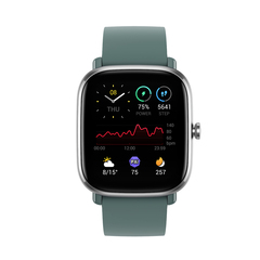 Смарт часы Amazfit GTS2 mini A2018 Sage Green