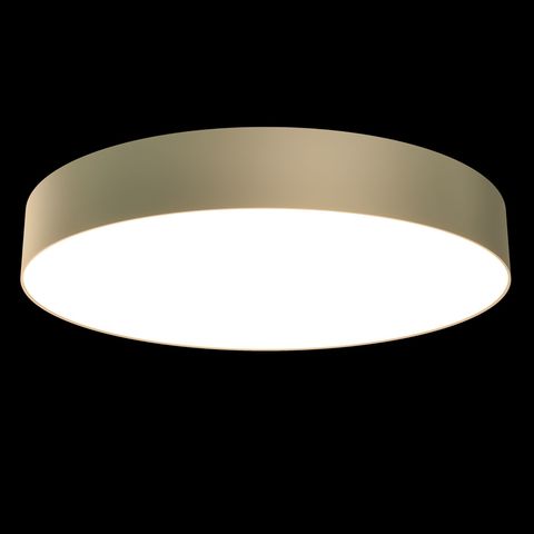 Потолочный светильник Technical Zon C032CL-L48MG3K