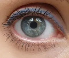 El Corazon карандаш для глаз 121 Grey