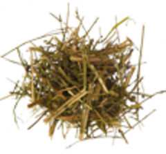 Дербенник (трава, 100гр.) (Старослав)