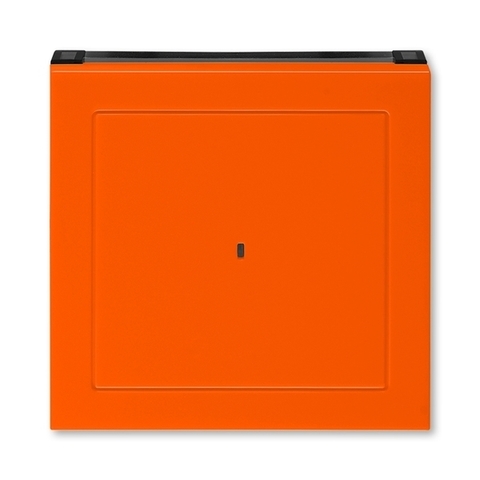 Лицевая панель карточного выключателя. Цвет Оранжевый / дымчатый чёрный. ABB. Levit(Левит). 2CHH590700A4066
