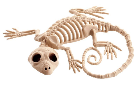 Ужасы Скелет Животного