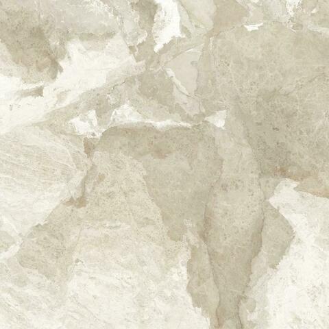 LCM Luxury Brown 60x60