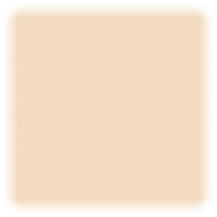UTP Компактная пудра основа-вуаль Bright Beige - Compact Foundation BB,10 г
