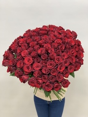 Букет 101 красная роза Эквадор 50см в ленте