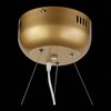 Люстра подвесная ST Luce Riccardo SL411.233.45