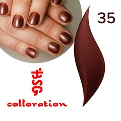 BSG Colloration, №35 Шоколадно-бордовый с золотым шимером