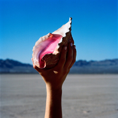 The Killers / Wonderful Wonderful (LP)