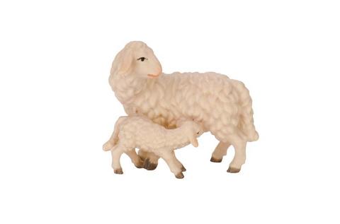 Овца с ягнёнком