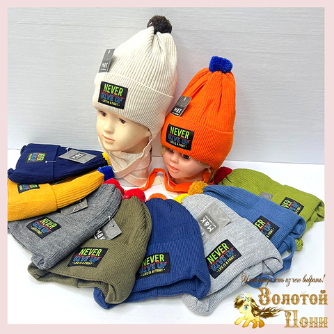 Шапка на хлопке м (1-3) 240923-FR2084