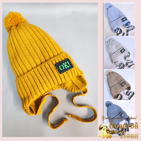 Шапка на хлопке м (2-5) 240923-FR2059