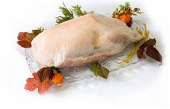 Гусь фабричный