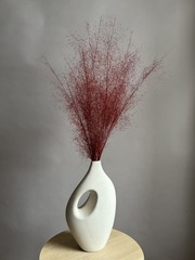 Просо бордовое