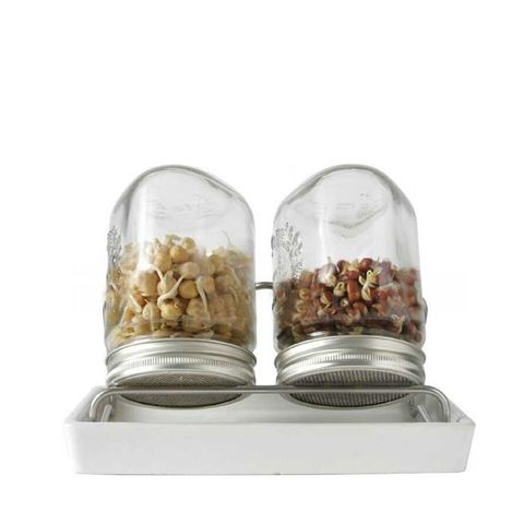 Проращиватель Eschenfelder 2 (спраутер)