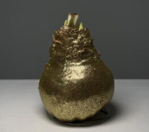 Гиппеаструм в воске « Жёлтой глиттер»