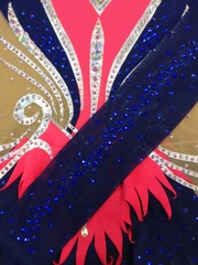 Купальник для выступления