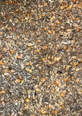 Смесь зерновая 40 кг. 
Пшеница, овес, ячмень, кукуруза, семечки подсолнечника.