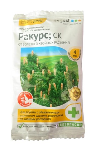 Ракурс