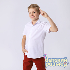 белый