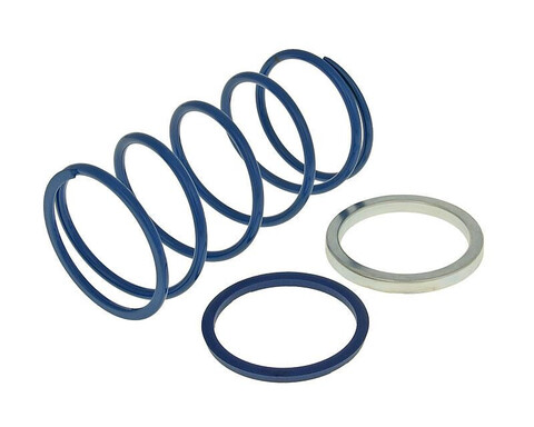 Пружина ведомого шкива Polini [Evo-Slider 28kg] - Minarelli, d=45мм