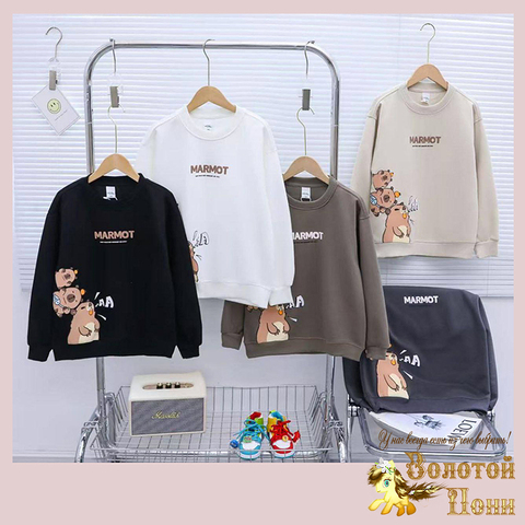 Свитшот хлопок м (7-12) 250824-G6139