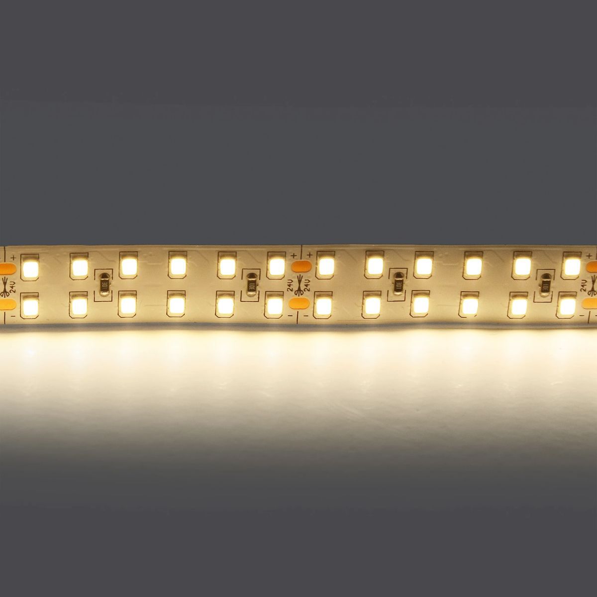 Светодиодная лента Lightstar 24W/m 240LED/m дневной белый 5M 421504