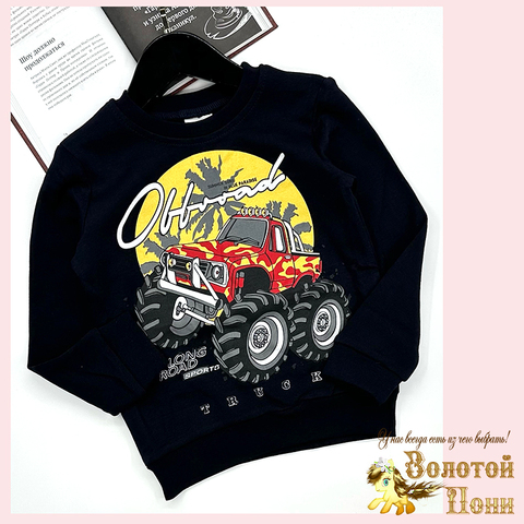 Свитшот хлопок м (6-9) 251128-SSD164