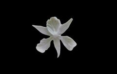 Силиконовый молд Орхидея 2 D