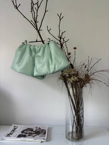 Шорты Puffered Mint