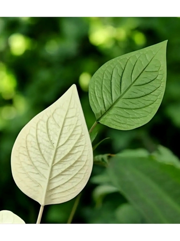 Молд пластиковый лист гортензии 10,2х6,8см