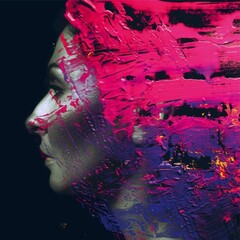Steven Wilson / Hand. Cannot. Erase. (2LP)