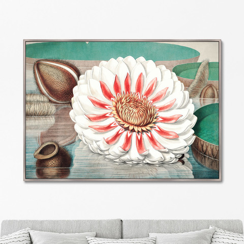 Уильям Шарп - Репродукция картины на холсте A gigantic water lily in bloom, 1870г.