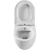 Cezares CZR-191-TH/BS Чаша подвесного унитаза с функцией биде 524х370х340