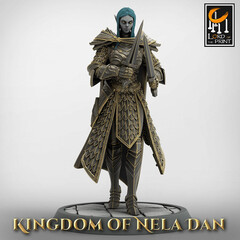 Эльф Полуэльфы Темные эльфы Дроу Воин Паладин Варвар Файтер Рыцарь миниатюра для dnd, днд, pathfinder, фентези, Настольная игра, НРИ, Варгейм, РПГ